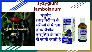 सिजीजियम जम्बोलीनम syzijium jambolanum homoeopathic Medicine  शुगर मधुमेह Diabetes में रामबाण [upl. by Pepper]