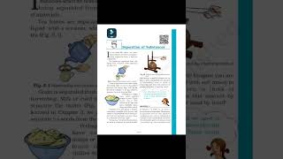 Class6thScienceChapter5ncertacademicsenglishtohindiexplanationyoutubeytshortstrending [upl. by Nnaarual]