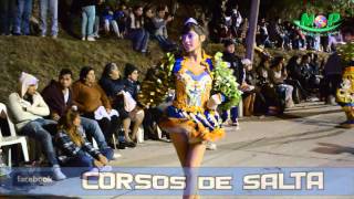 Caporales Tradicion Morena  Corso de Ceferino 2014  Meo Producciones [upl. by Fesuy233]