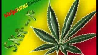 Legalizacion cannabis Ska p [upl. by Gnivre97]