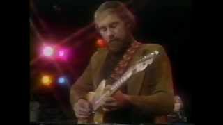 roy buchanan  live  blues [upl. by Eentroc]