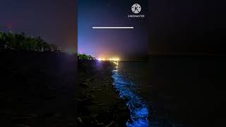 Bioluminescence sciencefacts Easy Mind Hindi short [upl. by Ala]