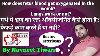 Patent Ductus Arteriosus Ductus Arteriosus Blood circulation in fetus and umbilical cord [upl. by Aneris579]