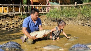 Harvest giant fish ponds with your children to sell at the market  CookingXuanTruong [upl. by Ennayelsel]