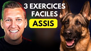 Apprendre Le ASSIS à Son CHIEN ou CHIOT tuto complet [upl. by Belinda]