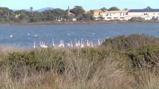 Les salins dHyères [upl. by Egon963]