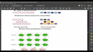 L26 HomoPolySaccharides 2 [upl. by Ellerihs547]