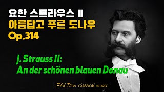 요한 슈트라우스 2세  아름답고 푸른 도나우 Op314  J Strauss II An der schönen blauen Donau Op314  요한 스트라우스 II [upl. by Ahsinnod697]