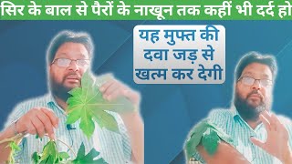 Arandi Ke Patte Ke Fayde  Arandi ke Patte  Arandi Ke Fayde  Health Tips in hindi  Desi Nuskhe [upl. by Fi]