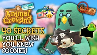 40 SECRETS Youll WISH You Knew Sooner  Animal Crossing New Horizons [upl. by Eriam]