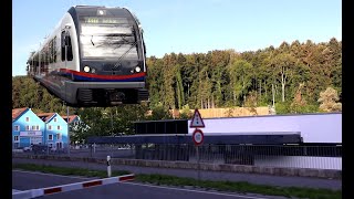 Zug Mitfahrt Dietikon  Wohlen Dietikon StoffelbachReppischhof [upl. by Windy]