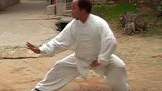 Hulei Taichi Chuan Taijiquan  ZHANG SUISHENG 忽雷太极拳 [upl. by Torin]