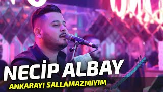 Necip Albay  Ankarayı Sallamazmıyım amp Canımın İçindesin [upl. by Oakie]