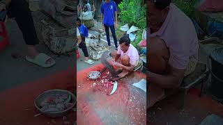 Just Amazing Small Wallago Attu Fish Cutting Skills fishcutting viralvideo shortvideo shorts [upl. by Linda]