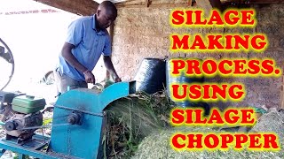 Siilage Making Process Using Silage Chopper [upl. by Uol110]