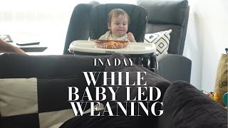 WHAT MY 10 MONTH OLD EATS IN A DAY WHILE BABY LED WEANING [upl. by Grote625]