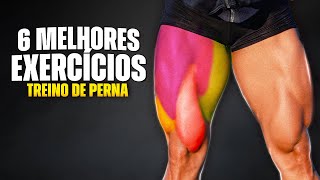 TREINO COMPLETO DE PERNAS  COMO CRESCER SUAS PERNAS RÁPIDO [upl. by Fleisher945]