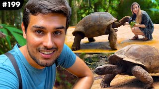 The Giant Aldabra Tortoises  Longest Living Reptiles 190 years  Dhruv Rathee Vlogs [upl. by Aistek]