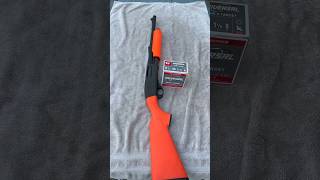 Orange Shotgun [upl. by Bonacci]