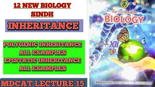 INHERITANCE MDCAT ONE SHOT PART 2  POLYGENIC INHERITANCE  EPISTASIS MADE EASY  EASIST CONCEPT [upl. by Aehtorod447]