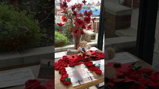 Remembrance Day 2024 uk exeter [upl. by Haissem]