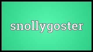 Snollygoster Meaning [upl. by Fox622]