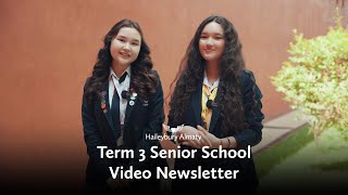 Senior School Video Newsletter  Term 3 [upl. by Iron431]