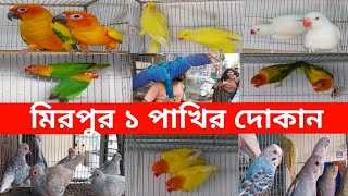 মিরপুর ১ পাখির দোকান  Mirpur 1 Pakhir Dokan  পাখি  Pakhi  টিয়া পাখি  Tiya Pakhi  Bird  Parrot [upl. by Pebrook]