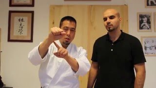 Ryan Hayashi  Karate Video Lesson 50  The Hands amp Feet as Weapons [upl. by Toms]