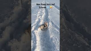 Freust Du dich auf den Schnee youtubecreatorcommunity [upl. by Steep]