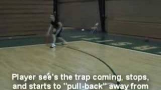 Basketball Ball Handling Drill  Pull Back Crossover Drill [upl. by Aisek]