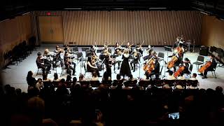 Zigeunerweisen Sarasate  VSO School of Music String Ensemble [upl. by Jezabella]