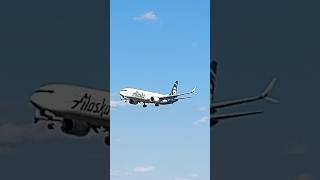 Alaska Airlines Boeing 737MAX9 arrival at BWI [upl. by Jair]