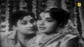 Romantic Scenes of MGR and Jayalalithaa in Thaikku Thalaimagan Movie [upl. by Einhpets609]