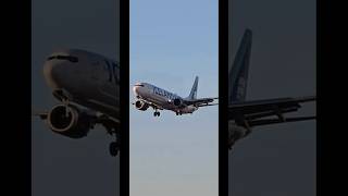 Icelandair 737Max 8 Landing At Toronto YYZ [upl. by Eves547]