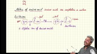 A2 Organic Amino AcidZwitterionElectrophoresis lecture 1 [upl. by Gnilsia]