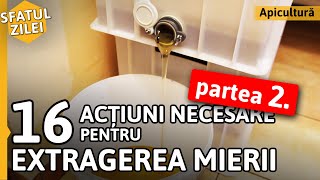 16 actiuni necesare pentru EXTRAGEREA MIERII  Partea 2 Sfatul Zilei [upl. by Ayaladnot]