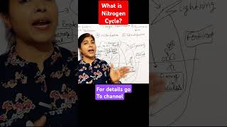 What is Nitrogen Cycle nitrogencycle cropproductionscience class9th class8th sciencwshorts [upl. by Geddes]