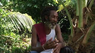 Rastafari and Racism Rastafari elders reasoning [upl. by Inahs]