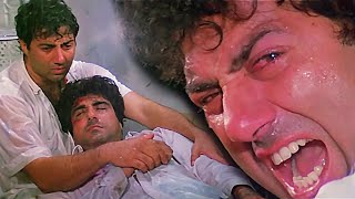 Balwant Rai ने मेरे भाई को मारके फेंक डाला Sunny Deol Action  Ghayal  Raj Babbar Movie Scene [upl. by Saihtam]