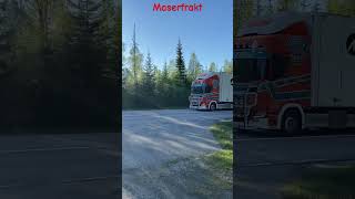 Maserfrakt sweden truckspotting 2024 honk scania Truckspotterbergslagen [upl. by Niessuh]