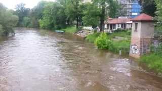 HochwasserSituation in Cottbus [upl. by Kcyred461]