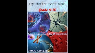 Chapter 12 Document 4 Action of Drugs on Synapses part 2 Grade12LS [upl. by Pritchett216]