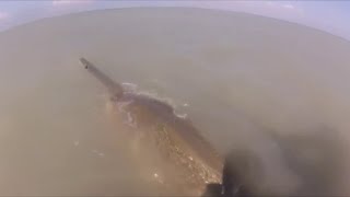 SawFish attacks Fisherman [upl. by Cordelia]