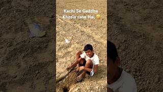 Gaddha Khodne ka talent ￼ funny comedy 🤣 [upl. by Ylram641]