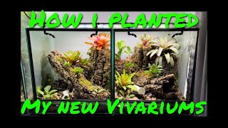 How I Planted my New Vivariums [upl. by Nnylannej]