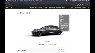 Find Your Tesla VIN Before Its Even Listed 2 Methods [upl. by Gannes335]