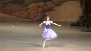 240319 Polina Semionova entrance of Giselle [upl. by Dinnie]