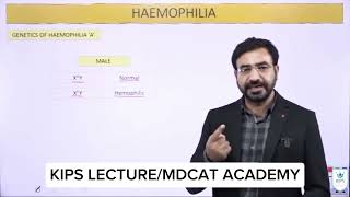 Hemophilia  Genetics  Kips lecture [upl. by Dnesnwot]