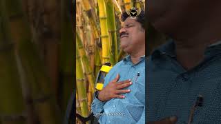 Aadharavae Adaikalame tamilchristianstatus song ytshorts jesus christian viral reels ytvideo [upl. by Nanfa91]